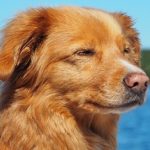 不安で全然眠れない時の対処法3つ
