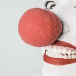 ストロングスタイルの頭がおかしい人の対処法は正解がない~胸糞~